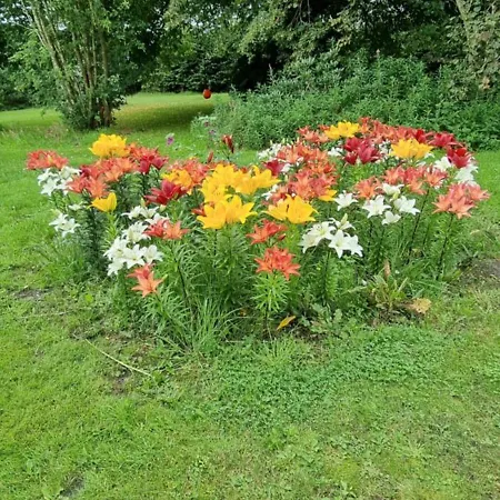 Appartamento Kastanjegaarden *