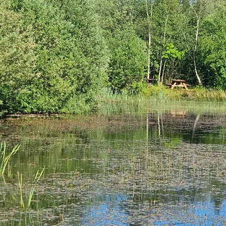 Kastanjegaarden Ansager