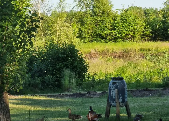 Kastanjegaarden * Ansager