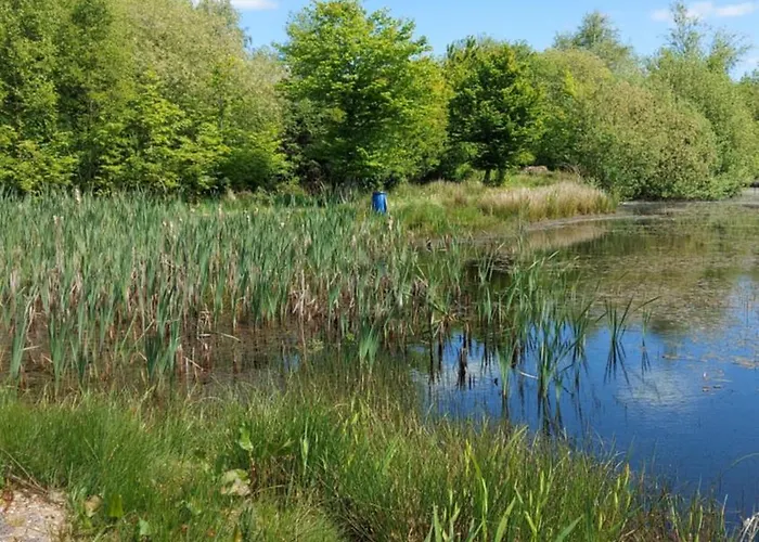 Kastanjegaarden * Ansager