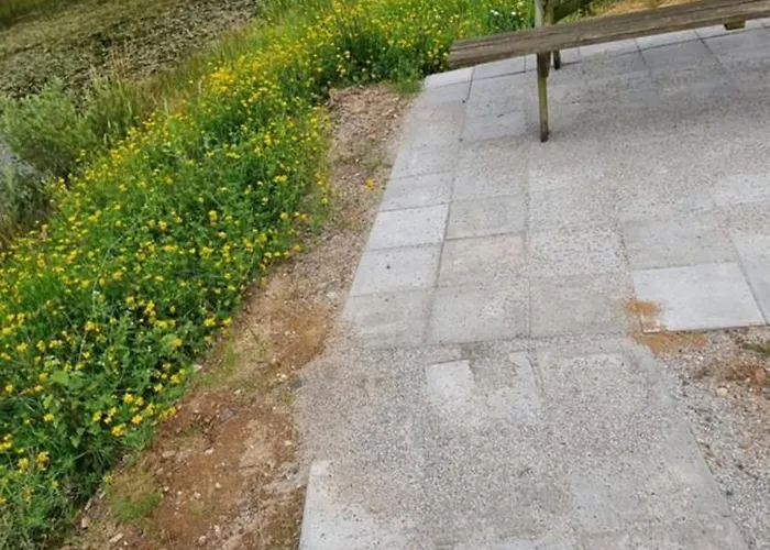 Kastanjegaarden * Ansager