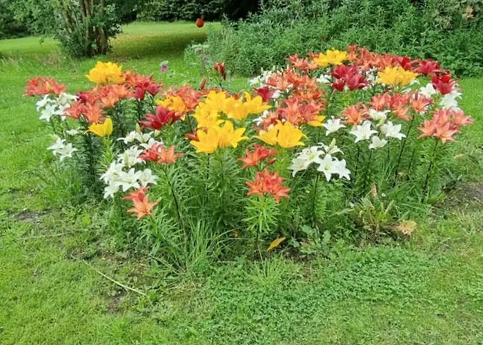 Daire Kastanjegaarden *