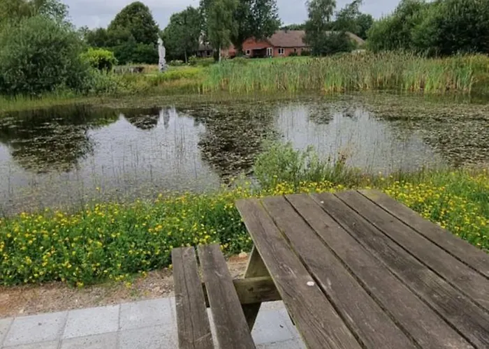 Daire Kastanjegaarden Ansager