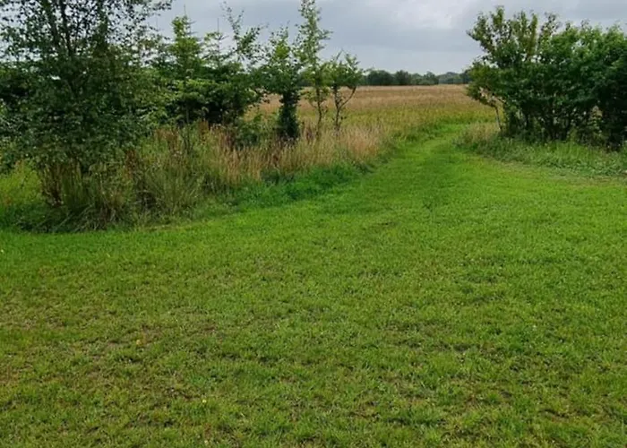 Kastanjegaarden Daire Ansager