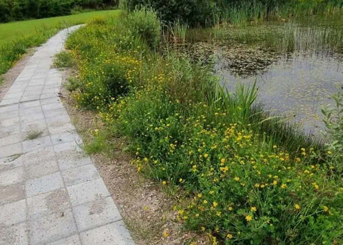 Daire Kastanjegaarden Ansager